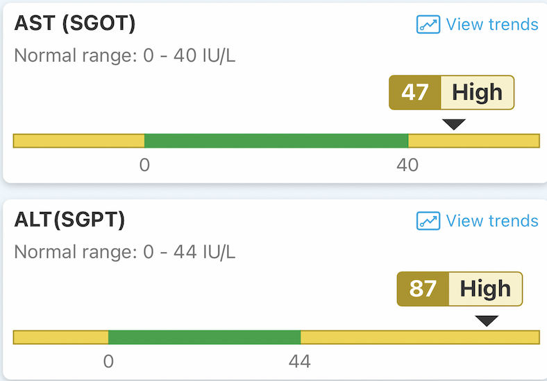 Liver enzyme results