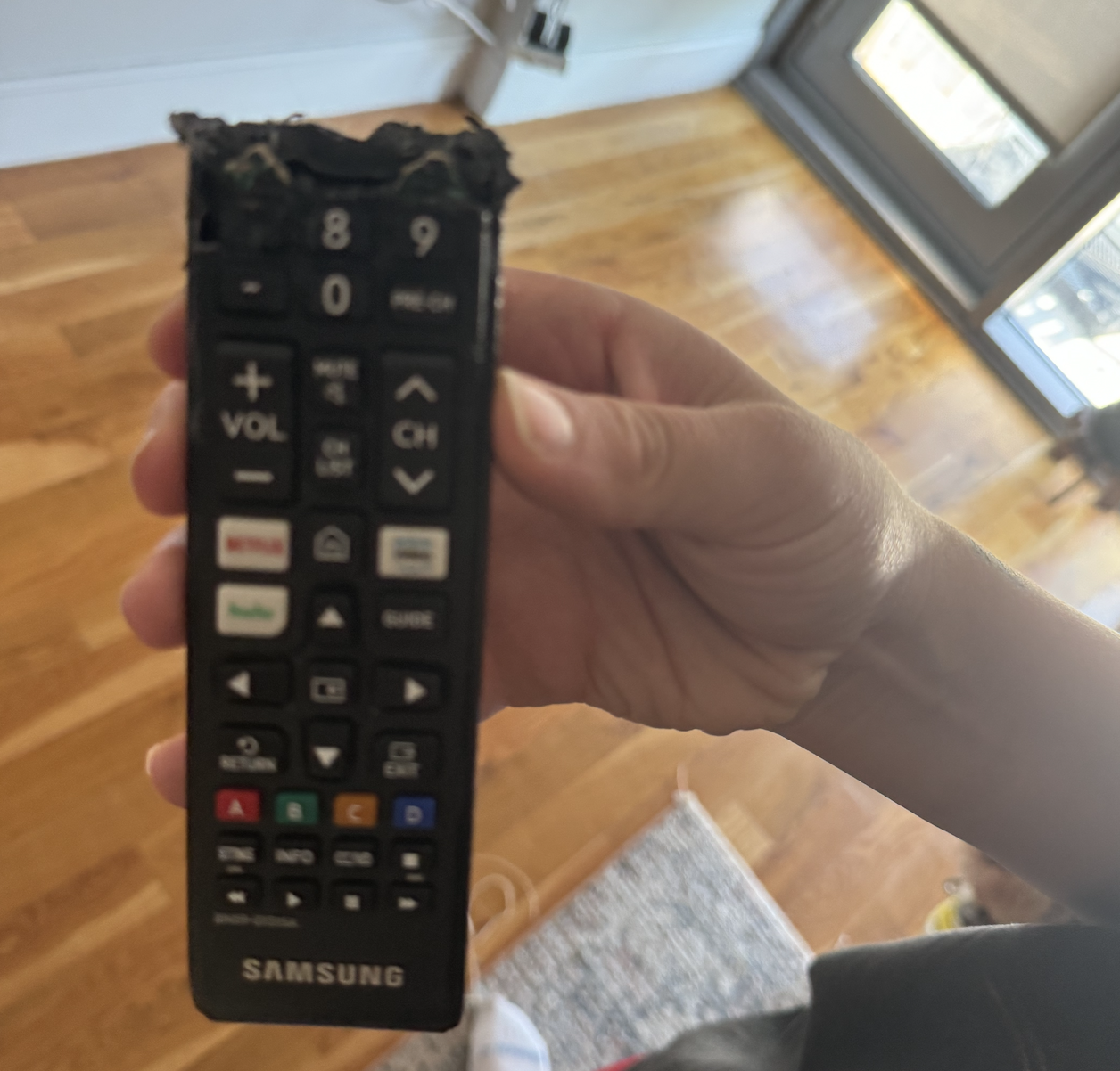 Eaten remote