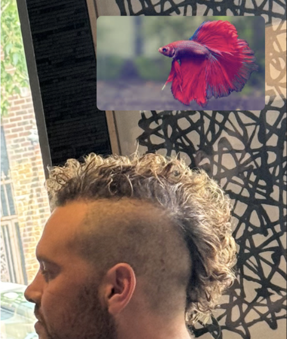 David with mohawk hairstyle looking like a beta fish