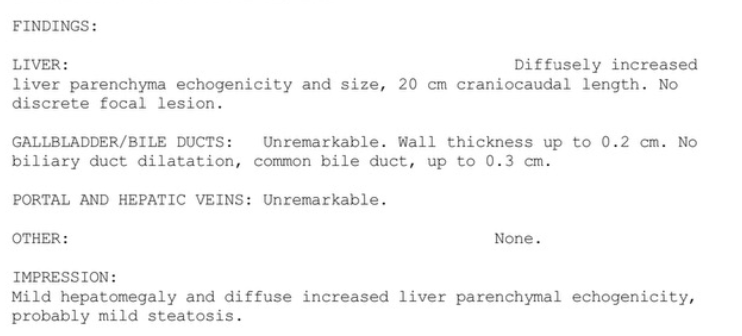 Ultrasound report showing unremarkable veins